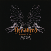 The Head and the Heart