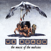 We Reach: The Music Of The Melvins