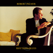 Twenty Million Things by Robert Palmer