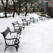 Waiting for the Christmas