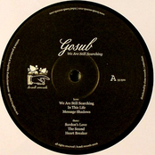 We Are Still Searching