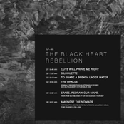 To Share A Breath Under Water by The Black Heart Rebellion