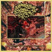 Severely Decomposed Remnants