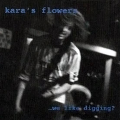 …We Like Digging?
