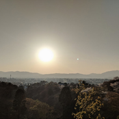 DISCOGRAPHY 2015-2020