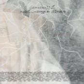 schwarze tinte - Single