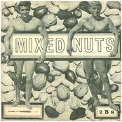 Mixed Nuts