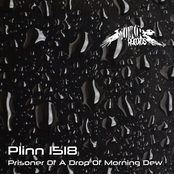Prisoner Of A Drop Of Morning Dew