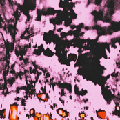 Infected Vasectomy x Both Dakotas