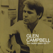 Sunflower by Glen Campbell