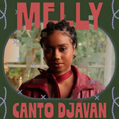 Canto Djavan: Tenha Calma / Nem Um Dia