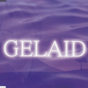 Gelaid