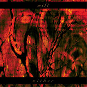 Shivering Spine by Wilt