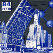 Salted City / D-Section