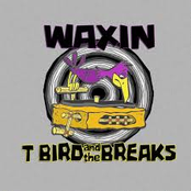 T Bird and the Breaks: Waxin