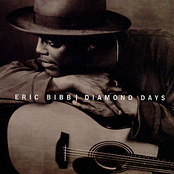 Diamond Days by Eric Bibb