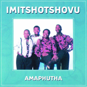 Amaphutha