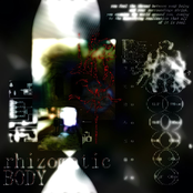 rhizomaticBody