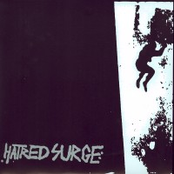 Wolf In Idiot's Clothing by Hatred Surge