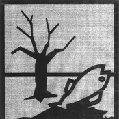 Dangerous For The Environment