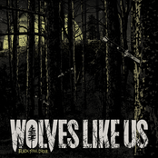We Were Blood by Wolves Like Us