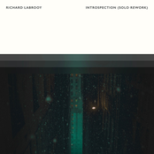 Introspection (Solo Rework)