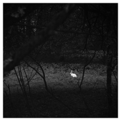 dreams long forgotten