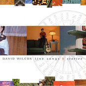 Travelling Companion by David Wilcox