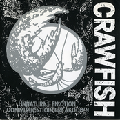 CRAWFISH