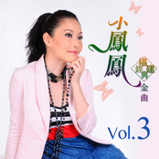 小鳳鳳福建經典金曲, Vol. 3