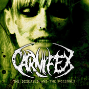 Carnifex: The Diseased And The Poisoned