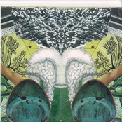 good wheel tea carpentry