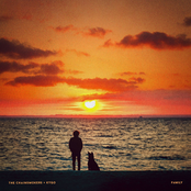 Family - Single