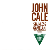Stainless Steel Gamelan by John Cale