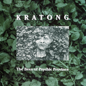 About Dissonance And Some Sidereal Dreams by Kratong