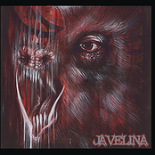 Ghost Pain by Javelina