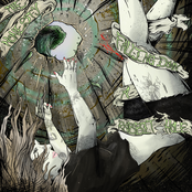 Falling Down A Rabbit Hole