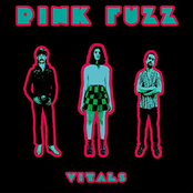 Pink Fuzz: Vitals