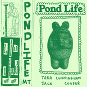 Pond Life