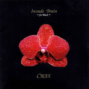 Invade Brain ~for black~