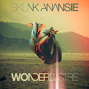 Feeling The Itch by Skunk Anansie