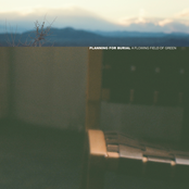 A Flowing Field Of Green