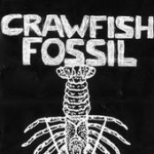 crawfish fossil