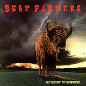 Hollywood Hills by The Beat Farmers