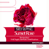 Sunset Rose