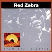 I Can't Live In A Living Room by Red Zebra