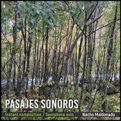 Pasajes Sonoros, Instant Composition / Saxophone Solo