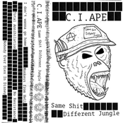 Same Shit Different Jungle