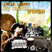 Dub Selector Experience
