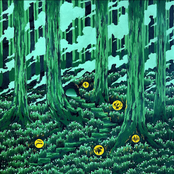 Mi corazón en llamas